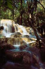 อุทยานแห่งชาติเชียงดาว