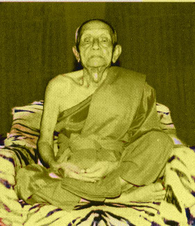หลวงพ่อคง วัดสรรพรส