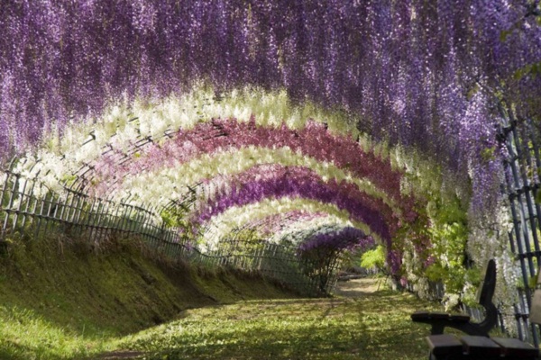 สุดยอด 10 อันดับ สถานที่ท่องเที่ยวแสนงดงาม