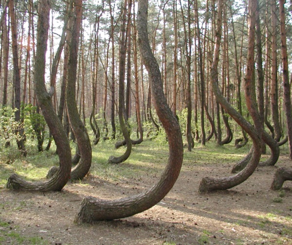 สุดยอด 10 อันดับ สถานที่ท่องเที่ยวแสนงดงาม
