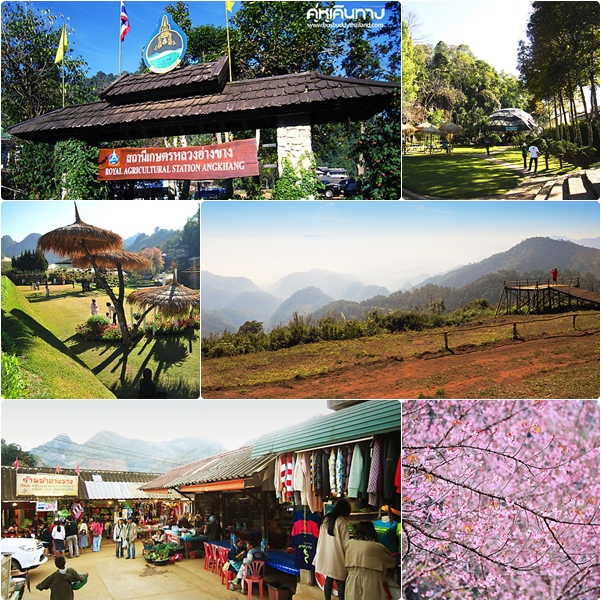 15 สถานที่ท่องเที่ยว หน้าหนาว