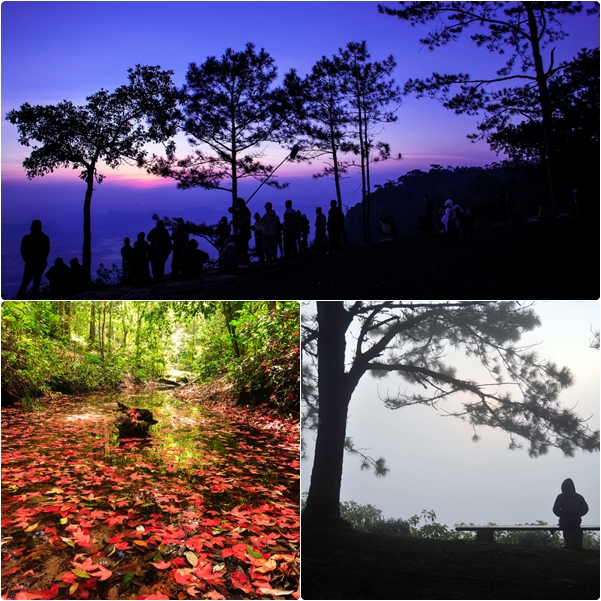 15 สถานที่ท่องเที่ยว หน้าหนาว