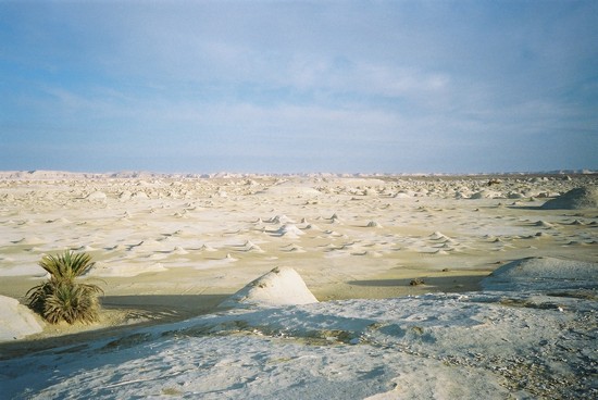 ทะเลทรายขาว