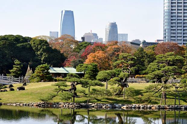 Nature Park in Downtown Tokyo