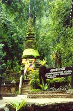 อุทยานแห่งชาติน้ำตกพริ้ว