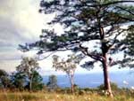 อุทยานแห่งชาติน้ำหนาว