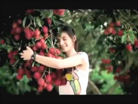 กอดเมืองไทย ททท