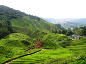 malaysia_cameron03