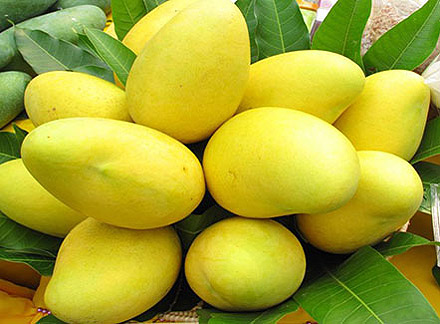 mango-festival