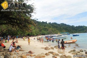 dive-kohchang (29)