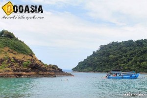 dive-kohchang (32)