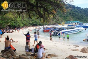 dive-kohchang (35)