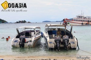 dive-kohchang (37)