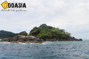 dive-kohchang (38)