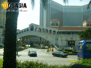 casino (3)
