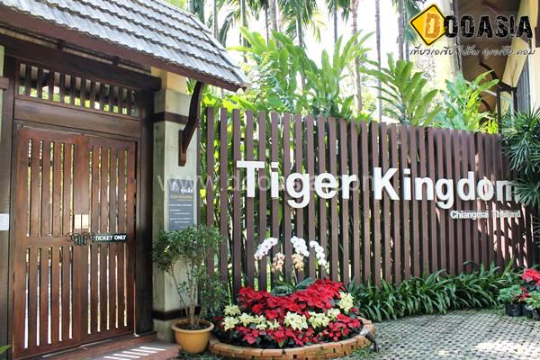 tiger-kingdom-chiangmai (17)