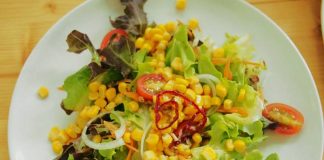 อิ่มอร่อย ปลอดสารพิษ ที่ Dairy Home