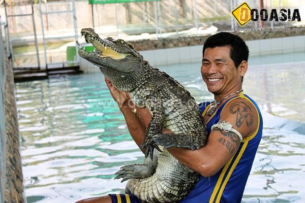 ฟาร์มจระเข้ เกเตอร์ฟาร์มแม่ริม