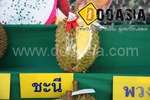 durianfestival (16)