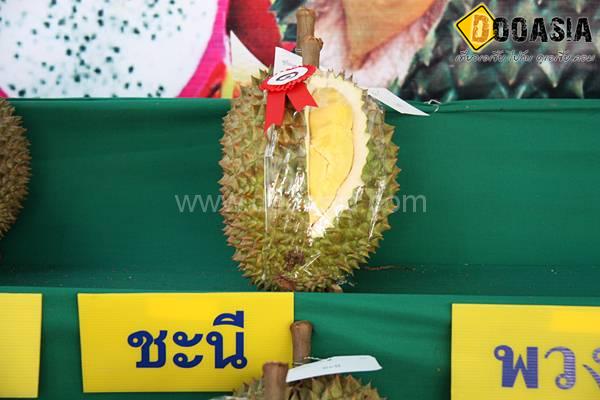 durianfestival (16)