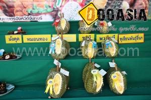 durianfestival (24)