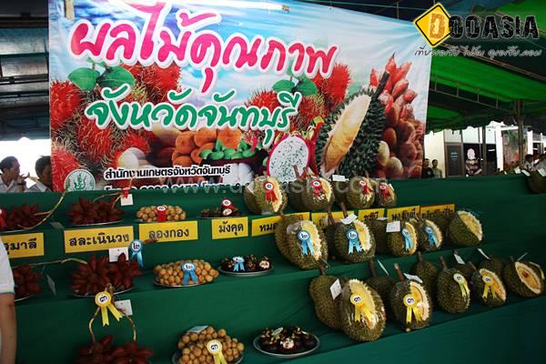 durianfestival (26)