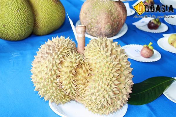 durianfestival (9)