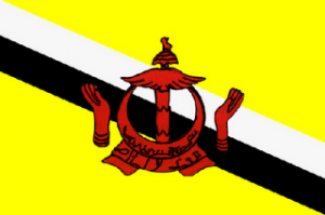 flag-brunei-darussalam-300x199