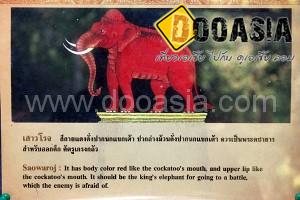 maesa-elephant-camp (41)