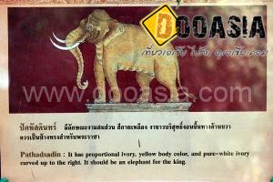 maesa-elephant-camp (44)