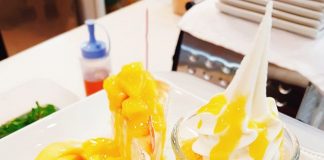 สดชื่นกับ พาร์เฟต์ ไอศกรีมเมนูสุขภาพ จากญี่ปุ่น