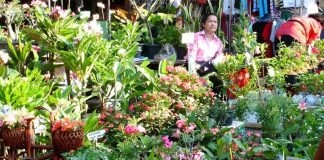 ช้อปปิ้งสบายๆ ที่ตลาดเจเจ(จัตุจักร)