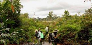 ทุ่งสมอปูน สวรรค์บนดินของคนทาง