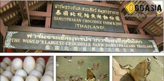 ฟาร์มจระเข้และสวนสัตว์สมุทรปราการ