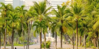 สวนลุมพินี