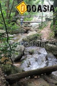 palad-temple (15)