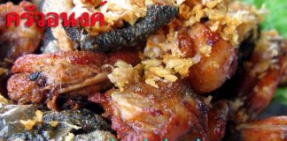 ครัวอนงค์อาหารป่ารสเลิศ กาญจนบุรี