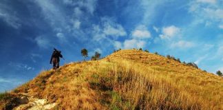 ดอยปุยหลวง