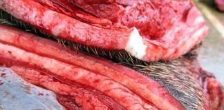 ตลาดมูเซอ