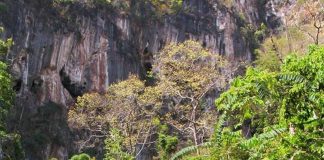 ถ้ำเสาหิน น้ำตกลำคลองงู กาญจนบุรี