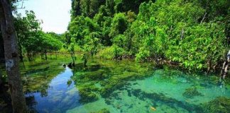 ความหลากหลายทางธรรมชาติที่กระบี่