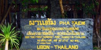 ภาพเขียนสี 3,000 ปี ที่อุทยานแห่งชาติผาแต้ม