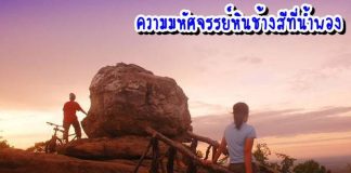 หินช้างสี