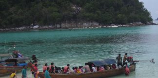 ดำน้ำดูปะการังที่เกาะตะรุเตา