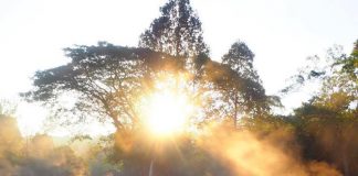 แจ้ซ้อน อาบน้ำแร่ แช่น้ำร้อน อุทยานแห่งชาติแจ้ซ้อน