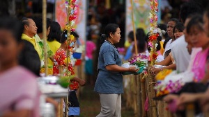 surin (0)