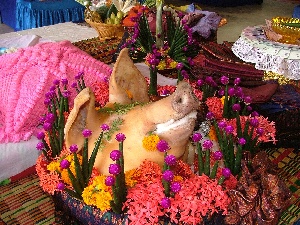 surin (25)