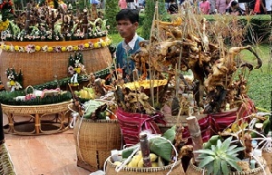 surin (34)