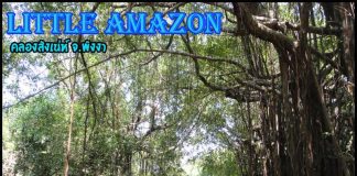 Little Amazon (คลองสังเน่ห์)