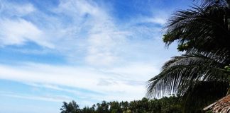 ชมแสงจันทร์ ณ เกาะพะงัน สุราษฎร์ธานี